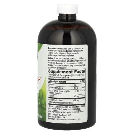 سائل كلوروفيل بنكهة النعناع ناتشرز واي‏ 480مل Nature's Way Chlorofresh Liquid Chlorophyll, Mint