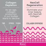 نيوسيل مسحوق بيبتيدات الكولاجين 200جرام NeoCell Super Collagen Peptides