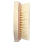 ايكوتولس فرشاة جافة للجسم 1 فرشاة EcoTools Dry Body Brush