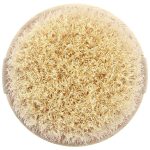 ايكوتولس فرشاة جافة للجسم 1 فرشاة EcoTools Dry Body Brush
