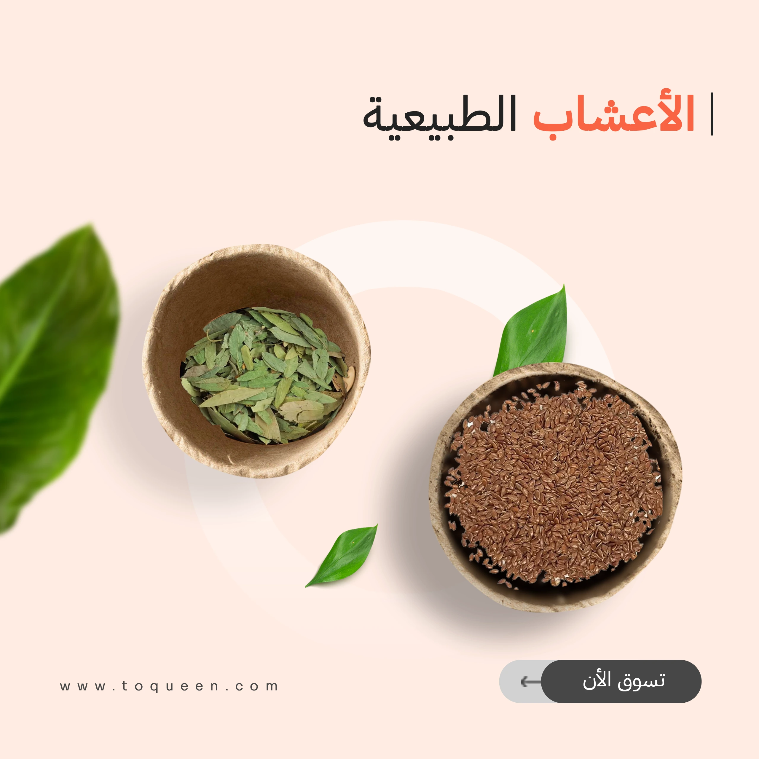 الاعشاب