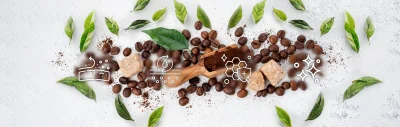 أو بلس مقشر فروة الراس بالقهوة و الجوجوبا 200مل | O plus Coffee & Jojoba Oil Scalp Scrub