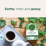 شاي القراص العضوي Traditional Medicinals – دعم طبيعي لصحة الجسم 16 كيس